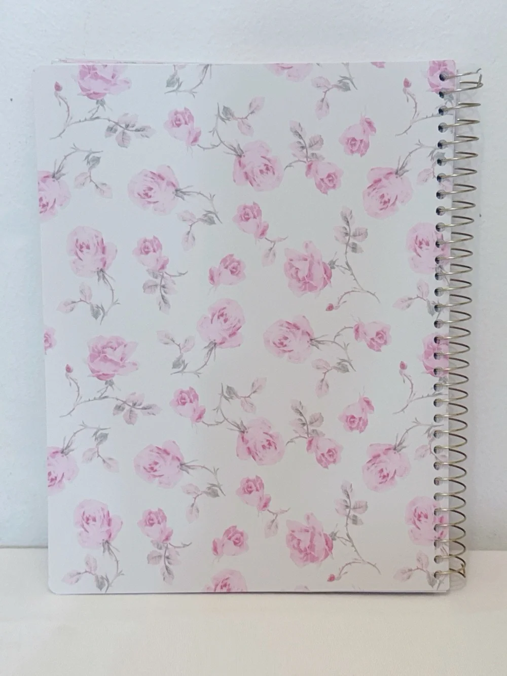NWT LoveShackFancy x Target Yoobi Ribbon Rosa Teacher Planner